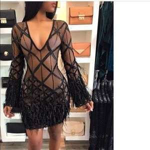 See through feather dress. PERFECT birthday dress